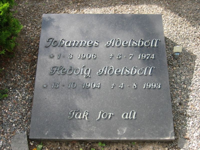 Johannes Adelsboell.jpg